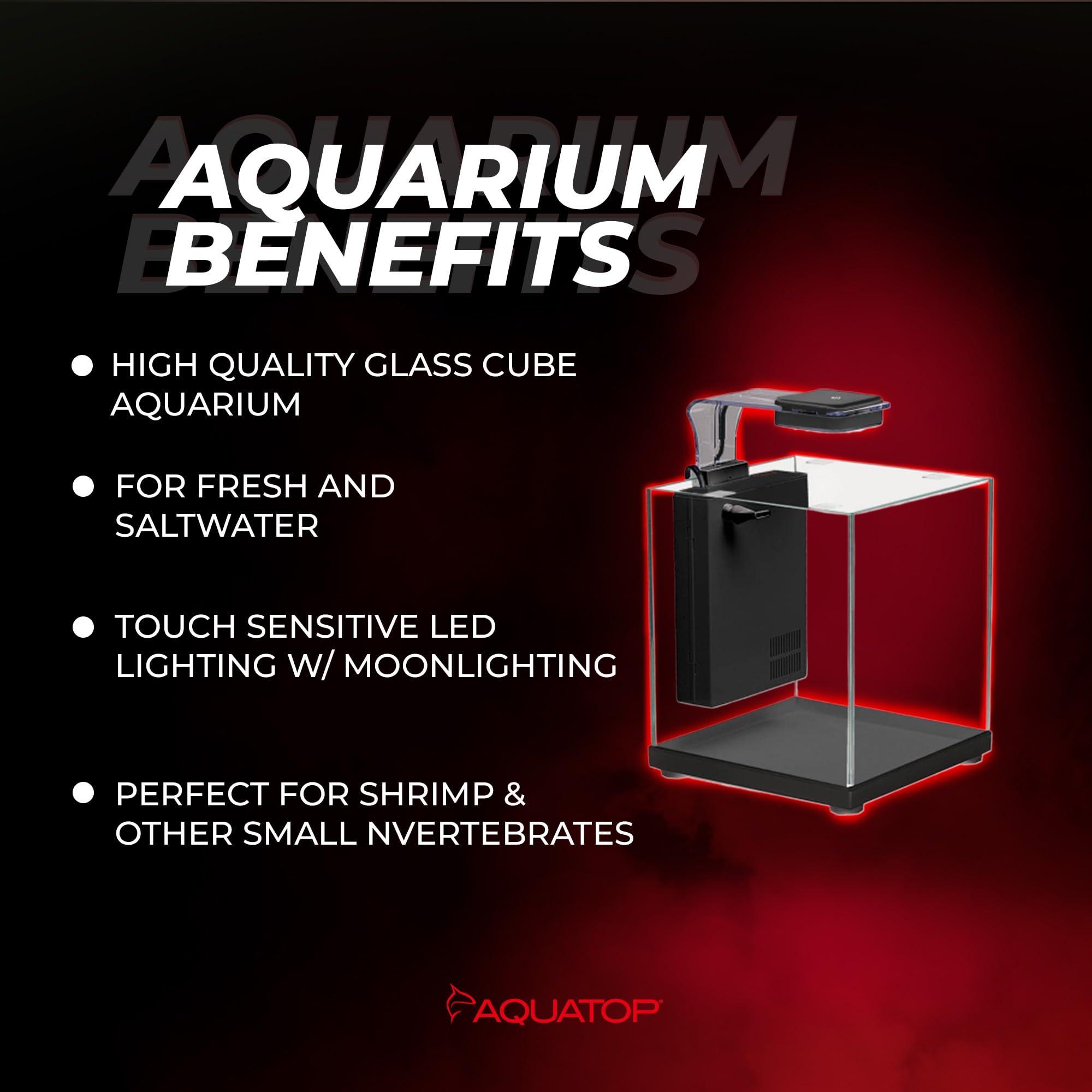 Amazon.com : Aquatop Pisces Bullet Shaped Glass Aquarium - Nano